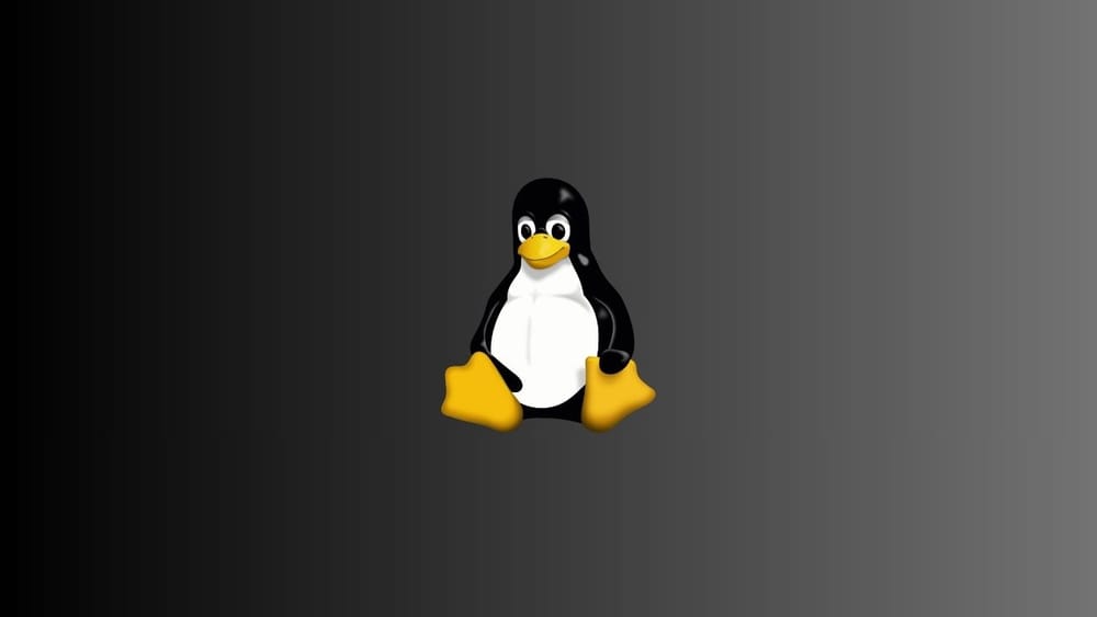 Beginner’s Guide to Choosing the Best Linux Distro