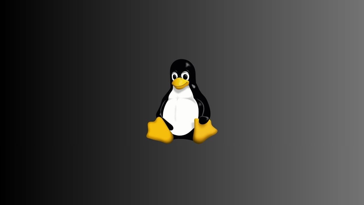 Beginner’s Guide to Choosing the Best Linux Distro
