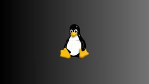 Beginner’s Guide to Choosing the Best Linux Distro